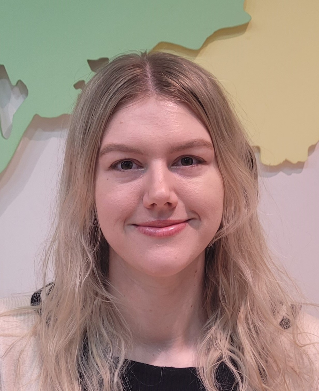 �������̹���